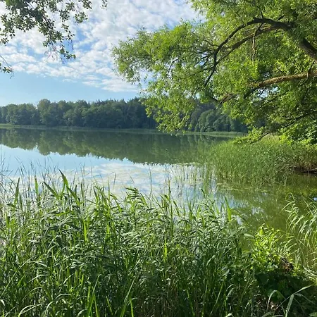 بيت للعطل Dom Wakacyjny Z Sauna I Ogrodem Na Wylacznosc Drawno