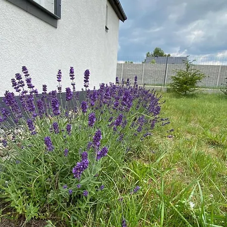 Casa vacanze Z Sauna Na Wylacznosc
