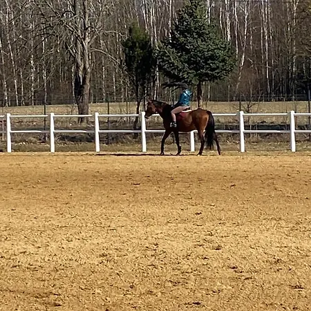 Dom Wakacyjny Z Sauna I Ogrodem Na Wylacznosc *