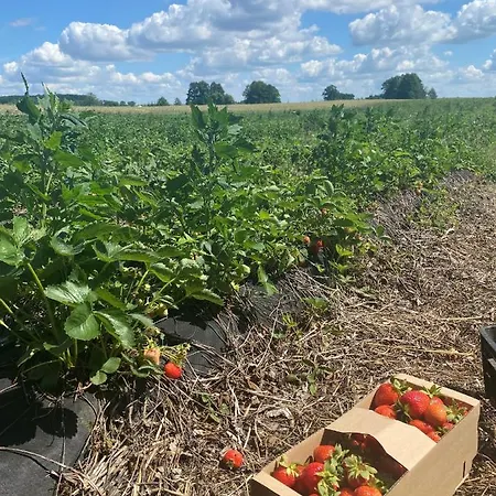 Dom Wakacyjny Z Sauna I Ogrodem Na Wylacznosc Drawno
