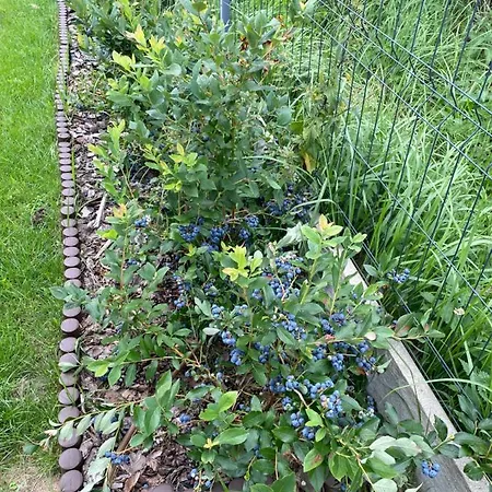 Dom Wakacyjny Z Sauna I Ogrodem Na Wylacznosc بيت للعطل *