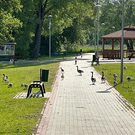 Z Sauna I Ogrodem Na Wylacznosc Nyaraló