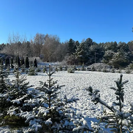 Dom Wakacyjny Z Sauna I Ogrodem Na Wylacznosc Drawno
