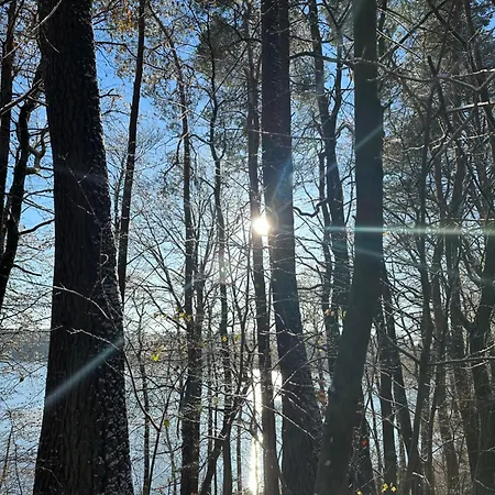 Dom Wakacyjny Z Sauna I Ogrodem Na Wylacznosc * Drawno