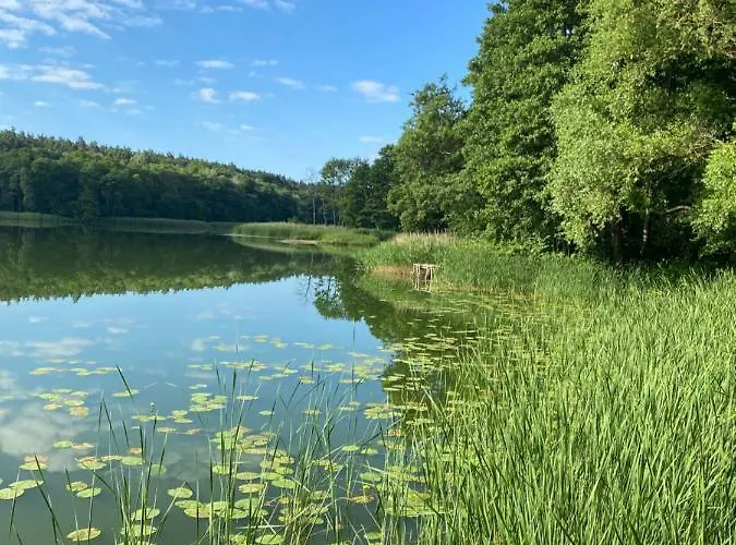 Prázdninový dům Z Sauna I Ogrodem Na Wylacznosc *