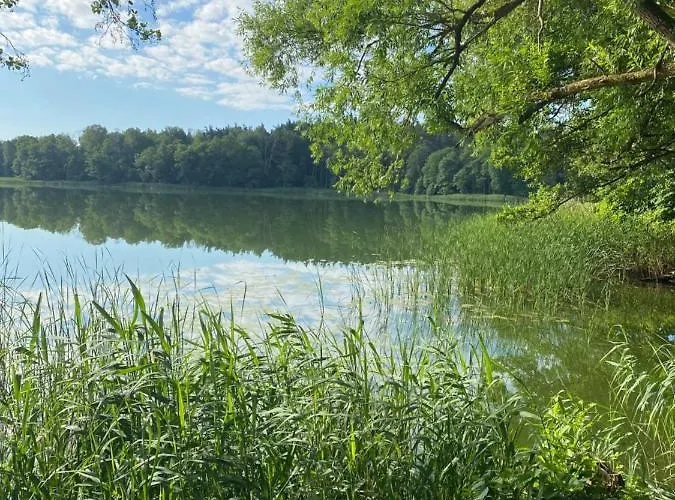 Prázdninový dům Z Sauna I Ogrodem Na Wylacznosc Drawno