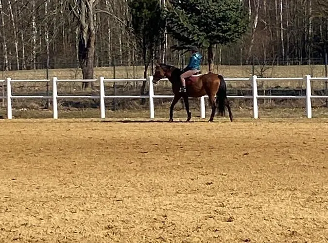 Z Sauna I Ogrodem Na Wylacznosc *