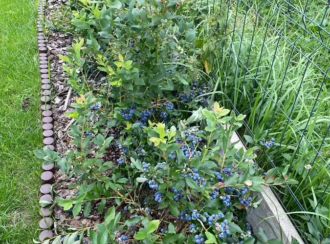 Z Sauna I Ogrodem Na Wylacznosc Prázdninový dům *