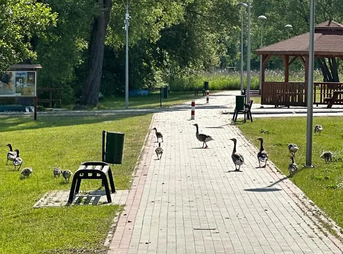 Z Sauna I Ogrodem Na Wylacznosc Prázdninový dům