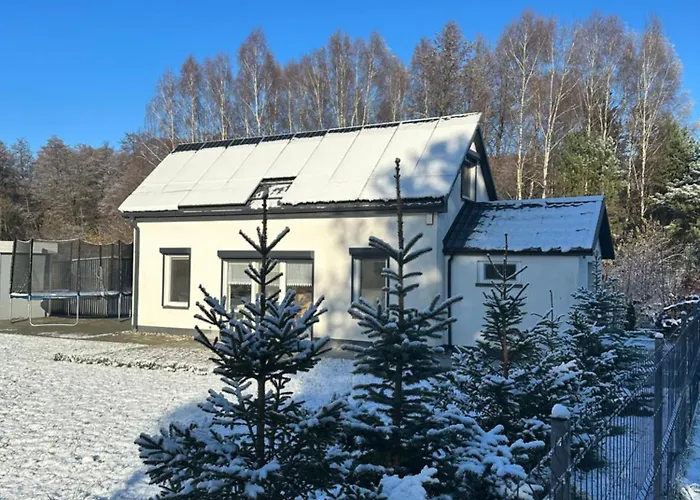 Z Sauna I Ogrodem Na Wylacznosc * Drawno