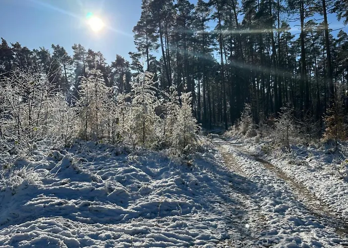 Z Sauna I Ogrodem Na Wylacznosc Drawno